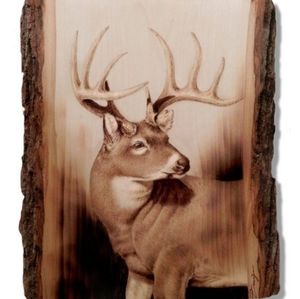 deer pyrography on wood